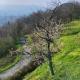 Basilico Apartment with stunnung views, Scogna Superiore (zdjęcie 5)
