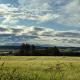 Cottage Farmhouse, Huntly (fotografie 9)