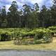 Cabin in the Tasmanian Bush - Tranquility!, Pipers River (Foto 3)