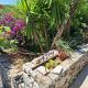 Holiday house Bore, Babino Polje (fotografie 4)