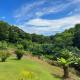Atiu Bungalows, Atiu (fotografie 5)