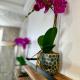 Hotel-Style, No Host, Professionally Managed ID289, Джерси-Сити (фото 6)