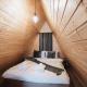 The DREAM A-frame Cabin, Arpaşu de Sus (fotografie 2)