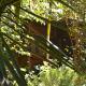 Licensed 2 bedroom cabin Close to San Ignacio, local dining, and adventure tours