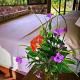 Secluded Riverfront Home - Boquete area with Pool, Bajo Boquete (photo 2)