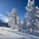 Hike & Ski-in Ski-out Mountain View Apartment for Family & Friends, Hinterstoder (foto 5)