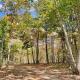 Modern Nimitz Cabin on 19 Acres with Fireplace and WiFi, Nimitz (фото 9)