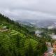 The Deodar Stays, Kanatal - Fotografie 4