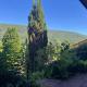 1-Zimmer Appartement mit Talblick Bad Wildbad - Foto 10