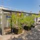 Paris Rooftop Garden residence, Paris - Photo 7