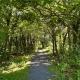 Luxury home in Oranmore, Balnacart (foto 5)