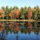 Pet-friendly, secluded, and peaceful pondside home near to Keene and Rindge NH, Fitzwilliam