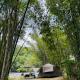 Camping River View, Gua Sai (fotografie 7)