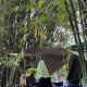 Camping River View, Gua Sai (fotografie 8)