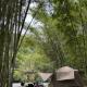 Camping River View, Gua Sai (fotografie 10)