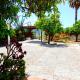 Finca él Aulagar, Málaga - Foto 5