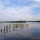 River Lounge Resort, Kundapura (Foto 4)
