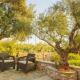 Mani Garden Haven - Private Retreat in Stoupa, Levktron (zdjęcie 4)