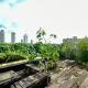 RIPA Urban Hideout
