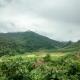 Local Adventure Laos, Louang Namtha (foto 4)