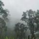 Local Adventure Laos, Louang Namtha (foto 5)