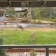 Mariposa home, Yosemite retreat, deer watching, family friendly, Mariposa (fotografie 6)