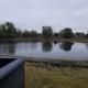 Farm stay with activity, Greenville (fotografie 3)