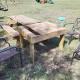 Farm stay with activity, Greenville (fotografie 6)
