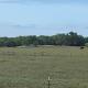 Farm stay with activity, Greenville (fotografie 9)
