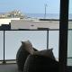 Appartement T2 vue mer et citadelle, Calvi - Photo 2