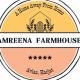 Amreena Farmhouse - A home away from home Karjat - Photo 6