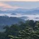 Amore Resorts, Kobbekaduwa (foto 4)