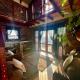 Black Cat Cottage, Inchanga Park (fotografie 3)