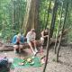 Jungle Trekking & Jungle Tour only stay here if you are and you must booking jungle trekking with us, Bukit Lawang (foto 7)