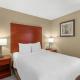 Comfort Inn & Suites Near Fallon Naval Air Station, Fallon (zdjęcie 4)