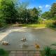 Bali inspired Villa in Tagaytay with Pool and Billiards up to 12pax, Galicias (fotografie 8)