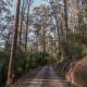 Cottage at Tall Trees Toolangi - Fotografie 10