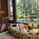 Remanso del Bosque - Los Teros Cabin, Villa La Angostura - Foto 7