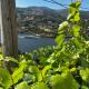 Douro Nest House, Anreade (fotografie 2)