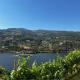 Douro Nest House, Anreade (fotografie 3)