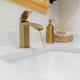 The Legacy Villa, Upper Marlboro (fotografie 9)