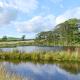 The Den, Grayrigg (fotografie 7)