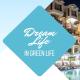 Dream Life Sozopol
