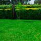 Entire Fully furnished Villas in Kisii, Kisii - Fotografie 8