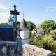 Chateau de Coubloust, Vicq-sur-Nahon (фото 6)