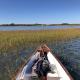 Oyster Cottage in Historic Fishing Village cottage, Cape Charles (fotografie 4)