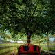 Applinger Farm, Ashland (fotografie 2)