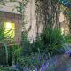 Mistletoe Munnar Homestay & Cafe, Муннар (фото 9)