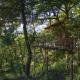 Cabane de la Bannette - Magnifique cabane dans les arbres, vue panoramique, Thoard (fotografie 2)