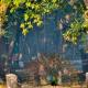 Shankar Homestay, Neoria Husainpur (fotografie 7)